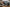 Best Desktop for Photo Editing in 2026